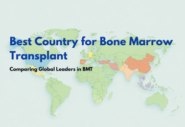 Best Country for Bone Marrow Transplant: Where to Get World-Class Care